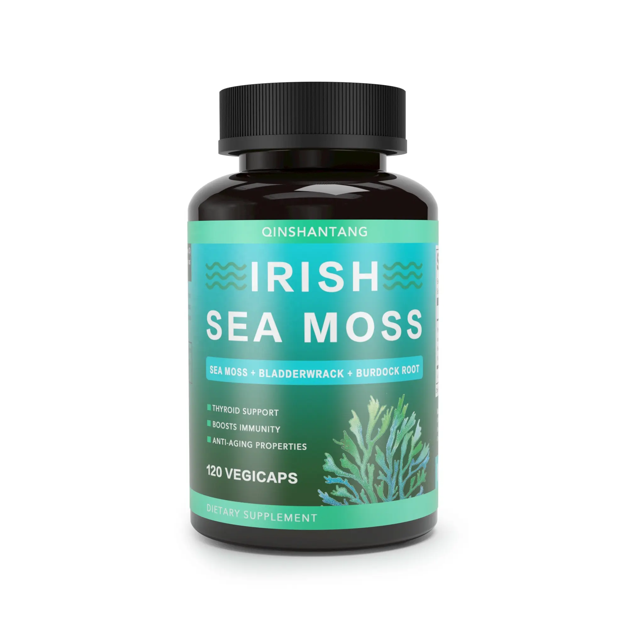 Pflanzen extrakte Irish Sea Moss Kletten wurzel und Blasen tang Kapseln Pulver Sea Moss Kapseln