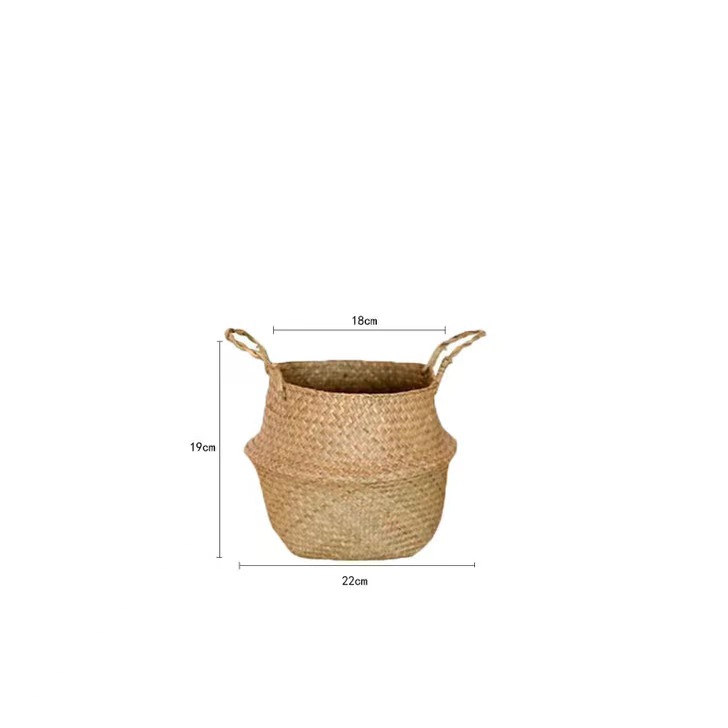 Châssis de la plante