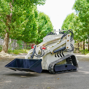 Fast Delivery! Skid Steer <strong>Loader</strong> with Track Mini Skid Steer Track <strong>Loader</strong> Skid Steer - Product Image 6