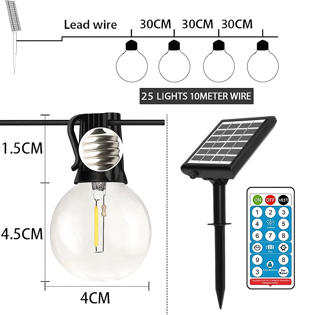 25 Bulbs