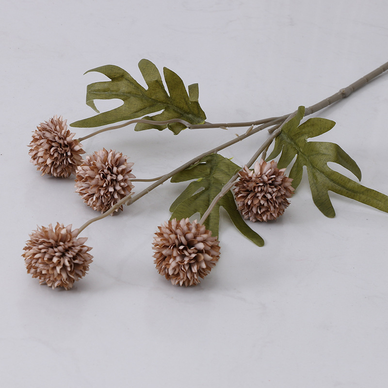 5 small ball chrysanthemums - autumn gray