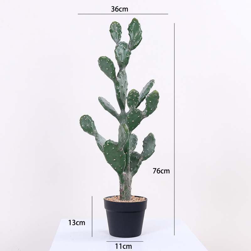 76cm