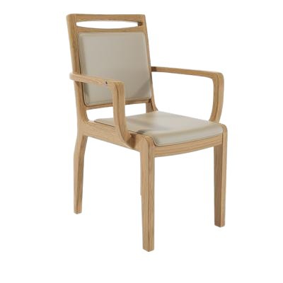 Chaise de loisirs et adaptée aux personnes âgées 018