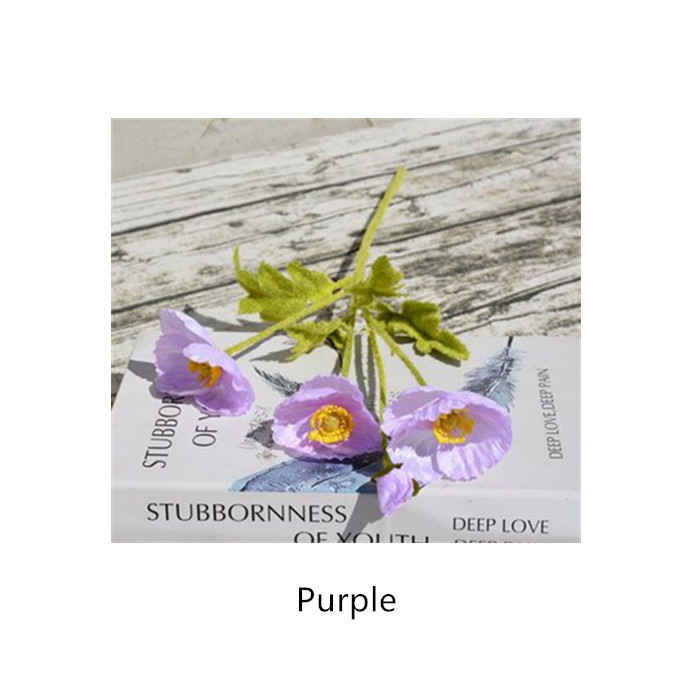 Viola