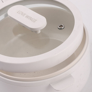 ミニオールインワン電気鍋多機能家庭用麺料理スキレット寮寝室学生用リビング電気 - Product Image 4