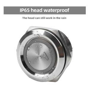 Customization <strong>Push</strong> <strong>Start</strong> <strong>Button</strong> Car 22mm <strong>Push</strong> <strong>Button</strong> Switches Waterproof IP67 5A <strong>Push</strong> <strong>Button</strong>