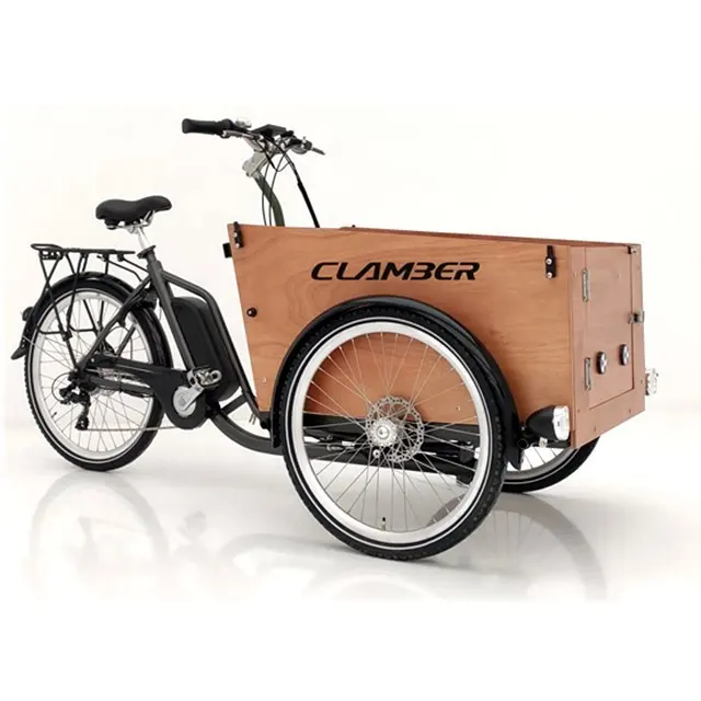 Vélo électrique à 3 roues avec boîte en bois pour enfants, véhicule cargo à moteur