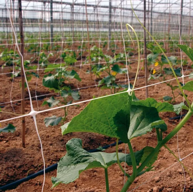 4 pés 6 pés 10 pés branco verde planta de jardim plástico treliça esgrima rede de apoio para a colheita flor pepino morango