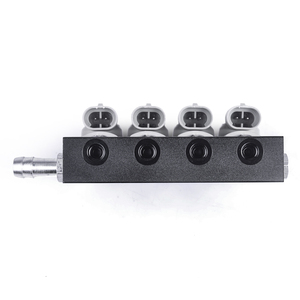 LPG/CNG/NGV Gas-Einspritz schiene LPG-sequentielles Kraftstoffs ystem für Sequential Injection Kit 2 oder 3 Ohm Auto injektor