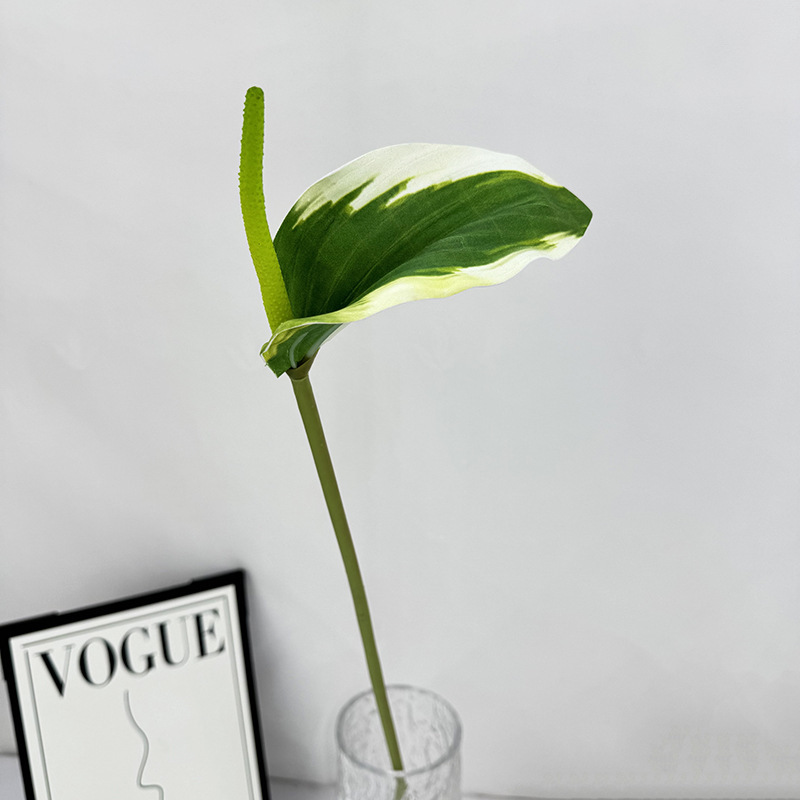 White edge green