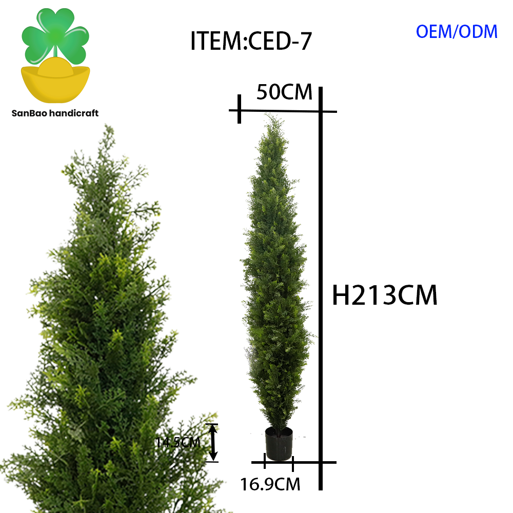 CED-7