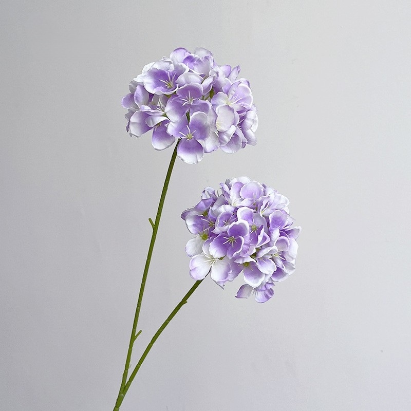 Bleu clair