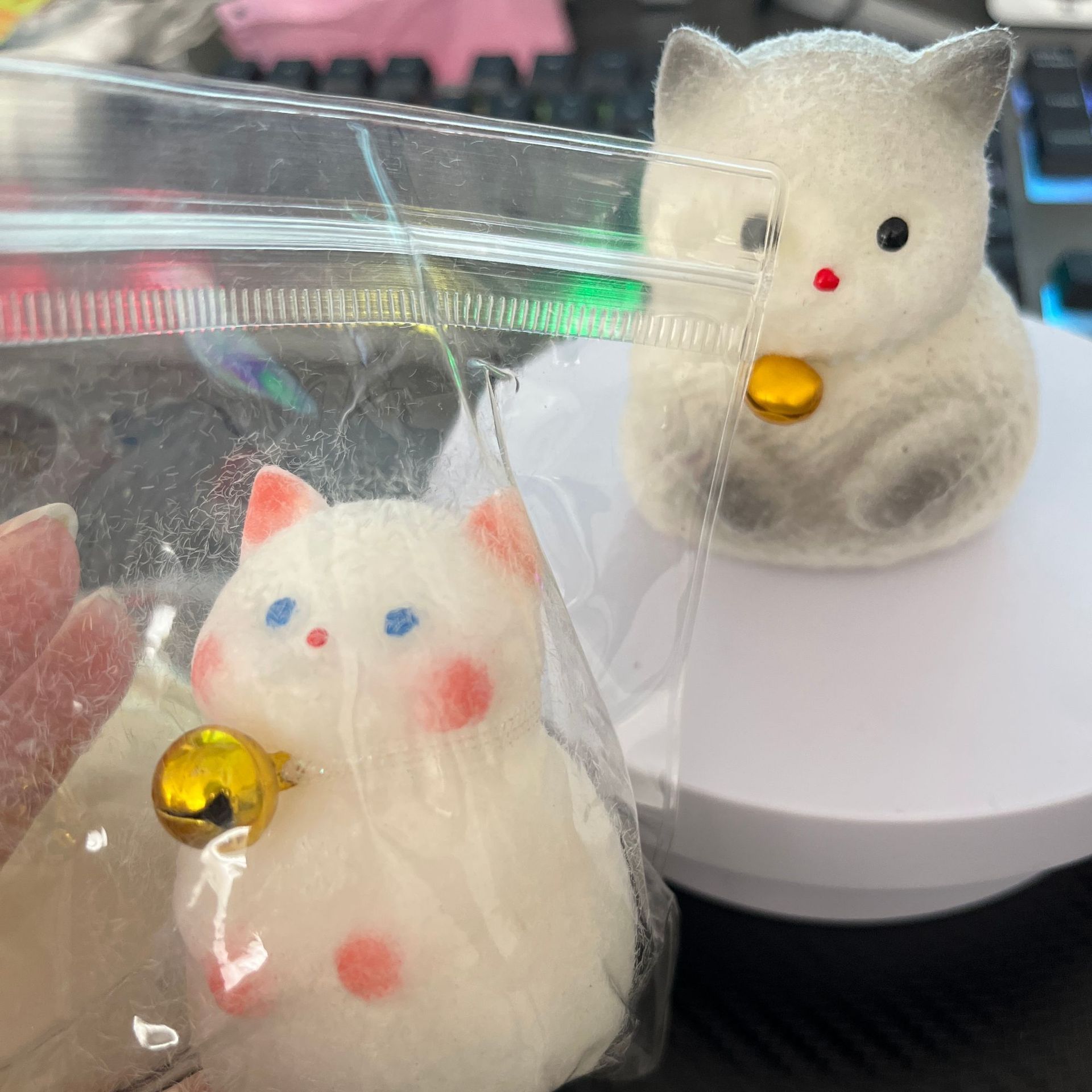 Chubby kitten-color random