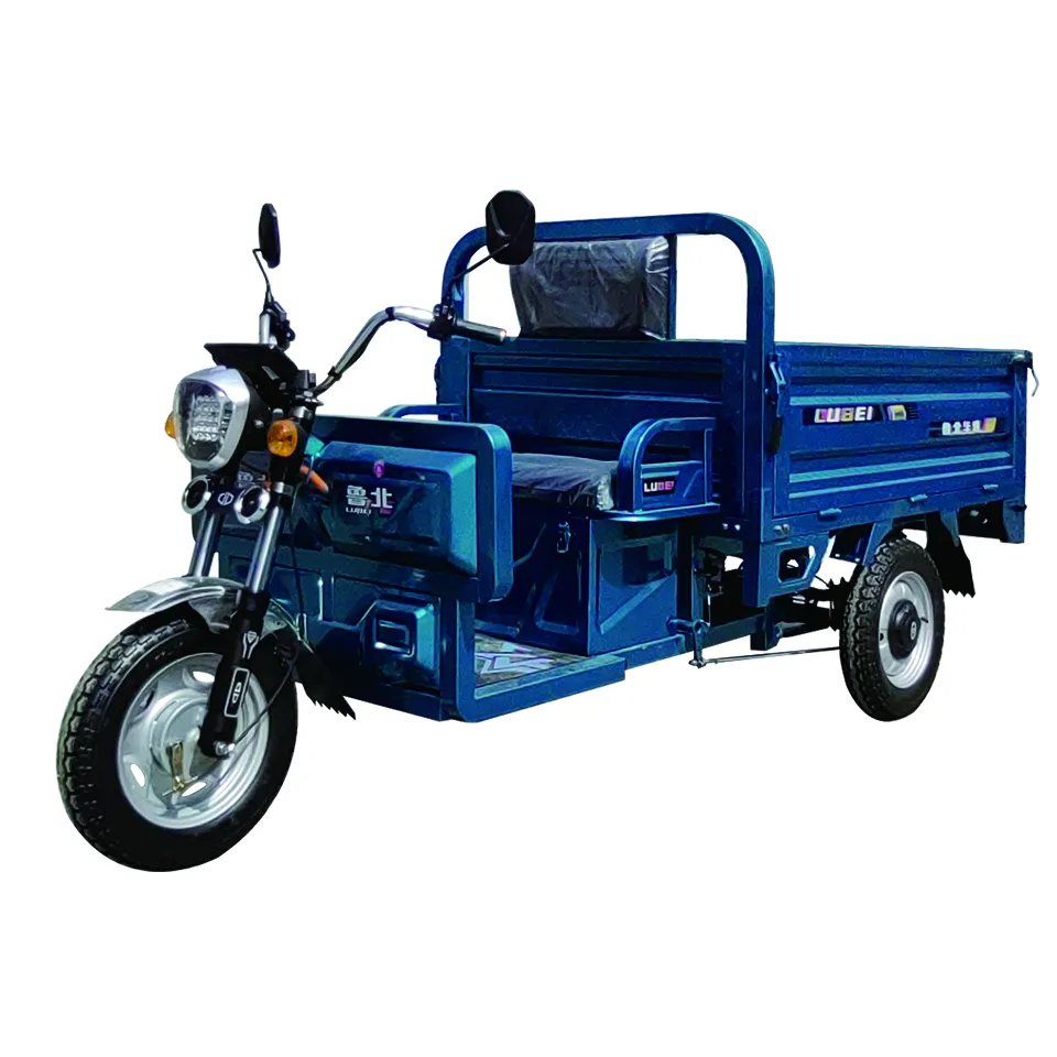 LUBEI costruttore di veicoli OEM/ODM 800W economici E-Trikes 3 ruote Cargo tricicli elettrici moto tre ruote adulto