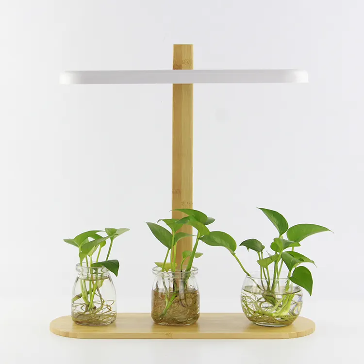 HomeJoyTech Led צמח צמיחת אור חכם גן עם Led אור