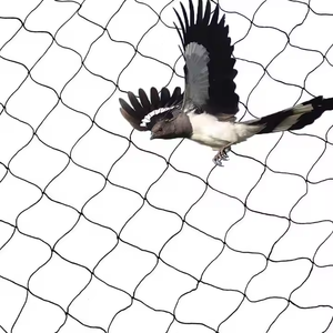 Di alta qualità impianto PE Anti-uccello di rete per il controllo dei parassiti per proteggere ortaggi e piante di fiori all'aperto - Product Image 1