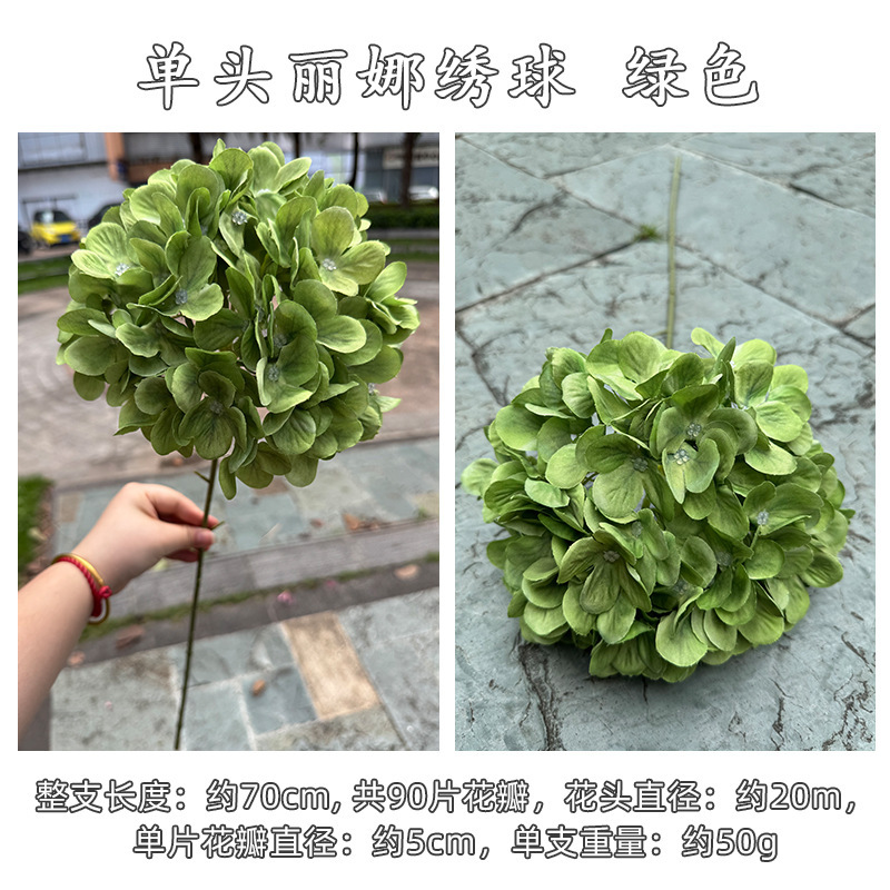 Tête unique lena hortensia vert