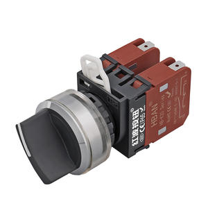 Interruttore Selettore in Plastica 2NO2NC del Produttore, <span class=keywords><strong>2</strong></span> Posizioni, 22mm, 220V 500V 20A, Testa Piatta IP65, Interruttore a Chiave con Magnete - Product Image 1