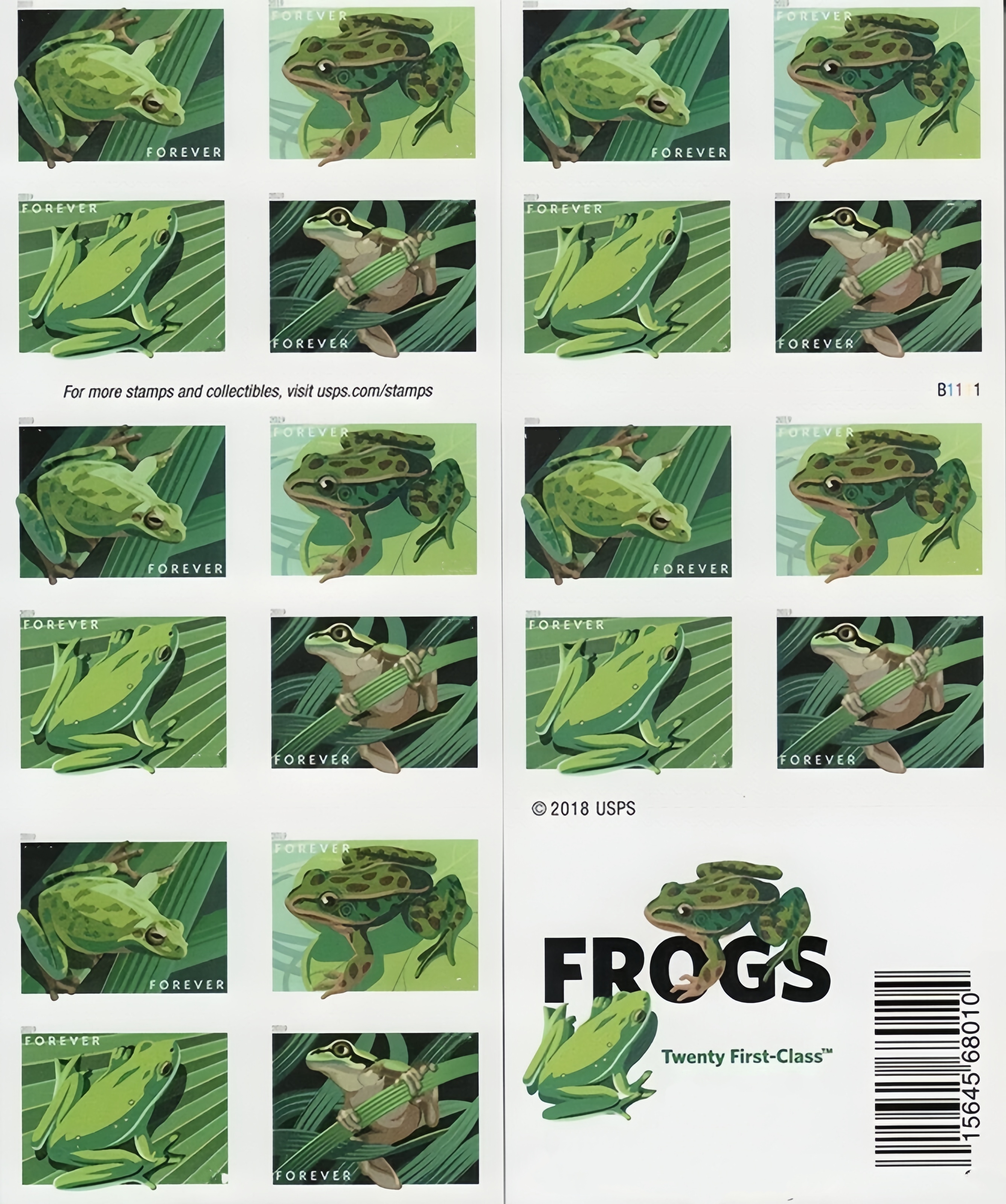 2019 Grenouilles 500374-E9-50-19QW