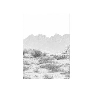现代印花装饰画北欧黑白沙漠风景仙人掌风景海报艺术画布 - Product Image 5