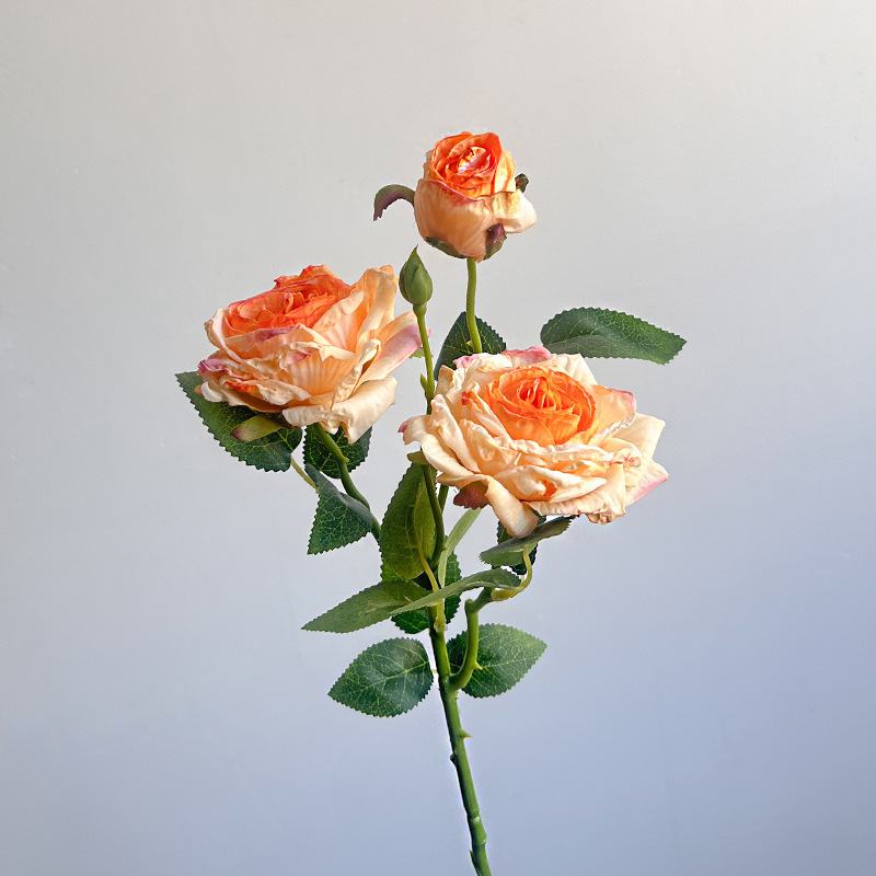 Orange/vintage 3 roses