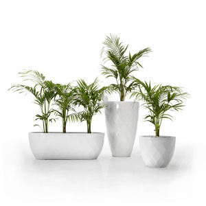 Design plot facility <strong>display</strong> - Product Image 5