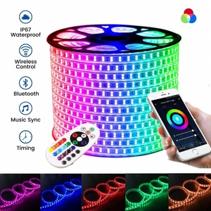 505050rgb 220V flessibile striscia di luce LED 60/120LED 100m IP65 per esterni striscia di luce intelligente RGB regolatore di temperatura di colore - Product Image 5