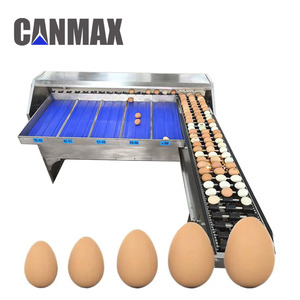 Máquina clasificadora automática de huevos de pato de alta eficiencia/Clasificador de huevos de 10000 piezas por hora/máquina clasificadora electrónica de huevos - Product Image 4
