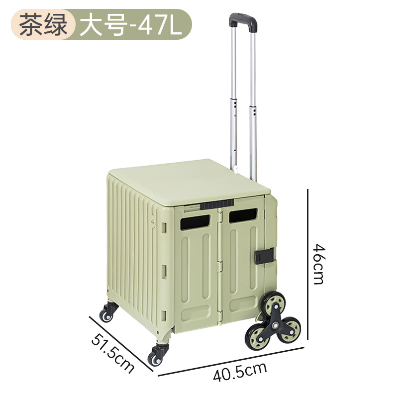 Thé Vert Grand Format 47L