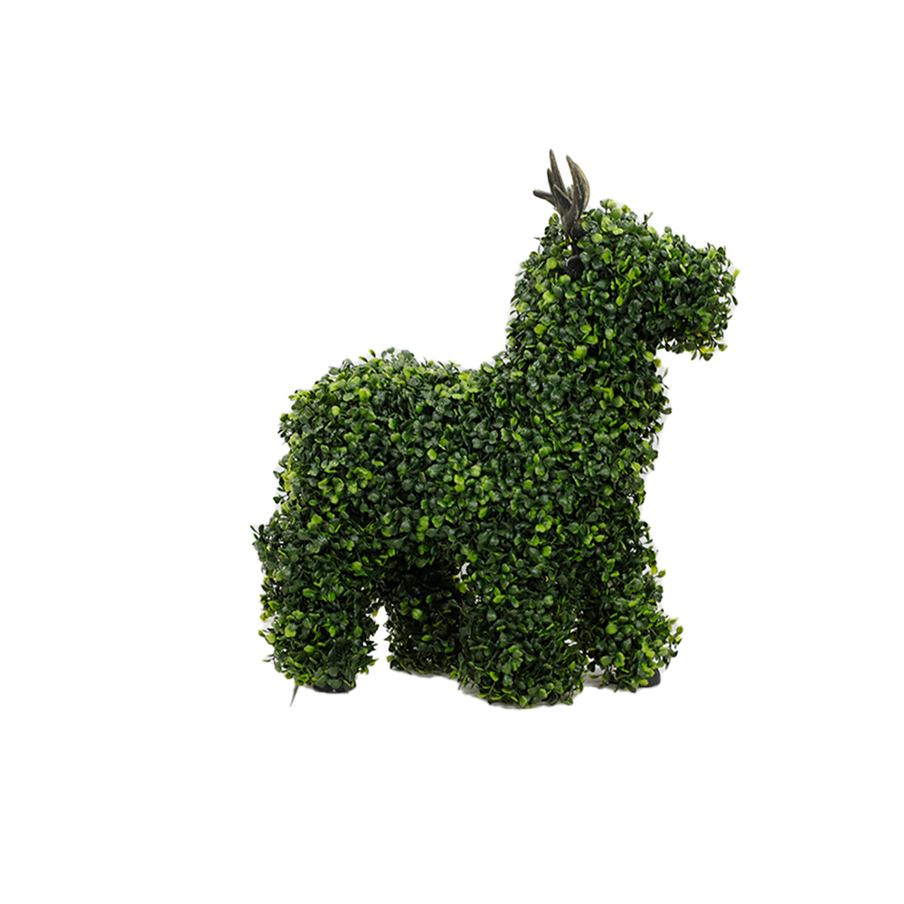 Cerf
