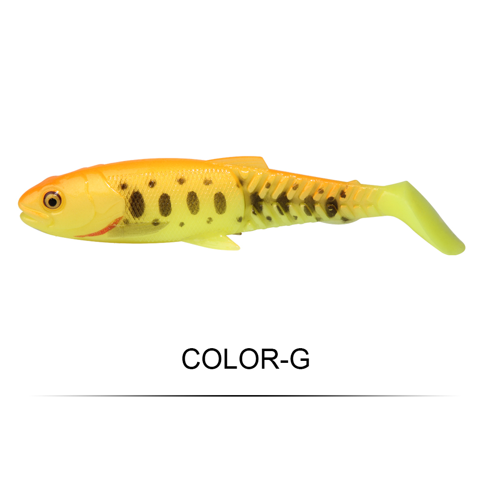 Multicolore-G