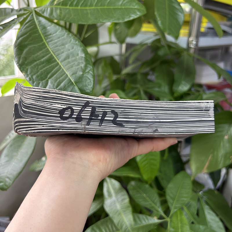 06H2