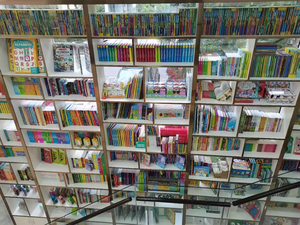 Anne kaz blok karton kitap Deluxe benim ilk kütüphane 12 karton kitap resim kartı karton kitap - Product Image 5