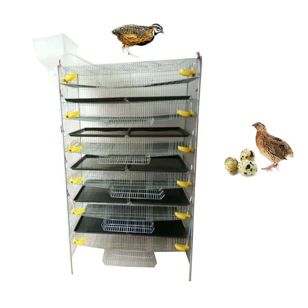 poultry farm equipment animal cage H type 6 layer commercial quail cage for sale HJ-QC400A