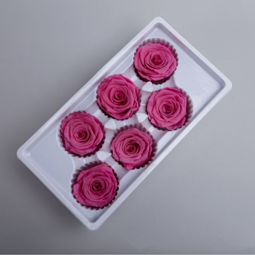 Sweet Pink 5-6cm