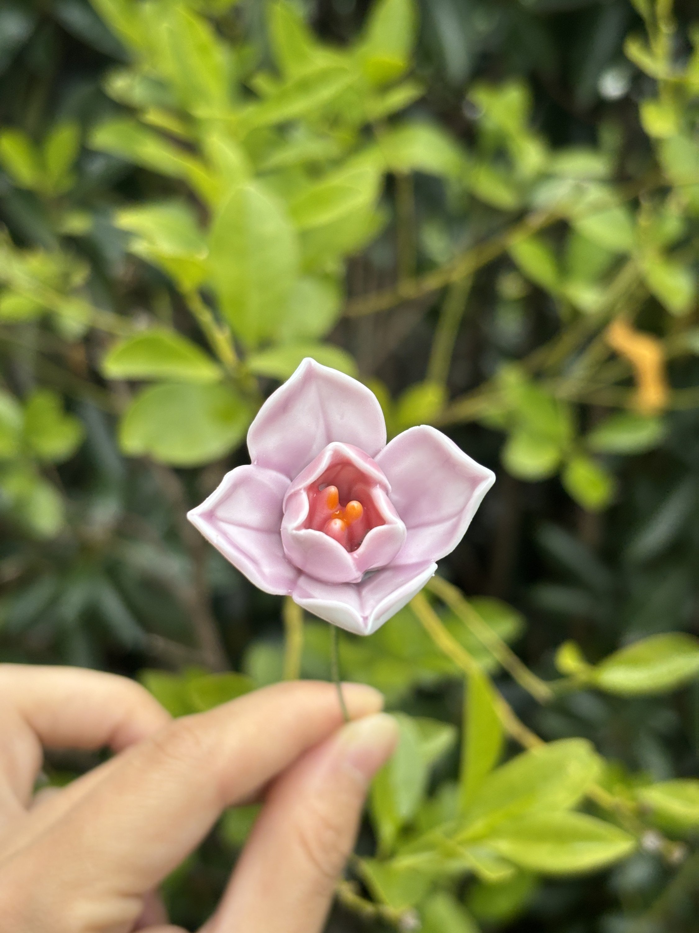 Magnolia series colors are random