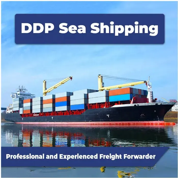 ขายร้อน 20ft 40ft คอนเทนเนอร์ lcl fcl ddp ddu Sea Freight ไปยังสหรัฐอเมริกาเยอรมนีโปแลนด์สวิสเซอร์แลนด์ออสเตรเลียขนส่งสินค้า