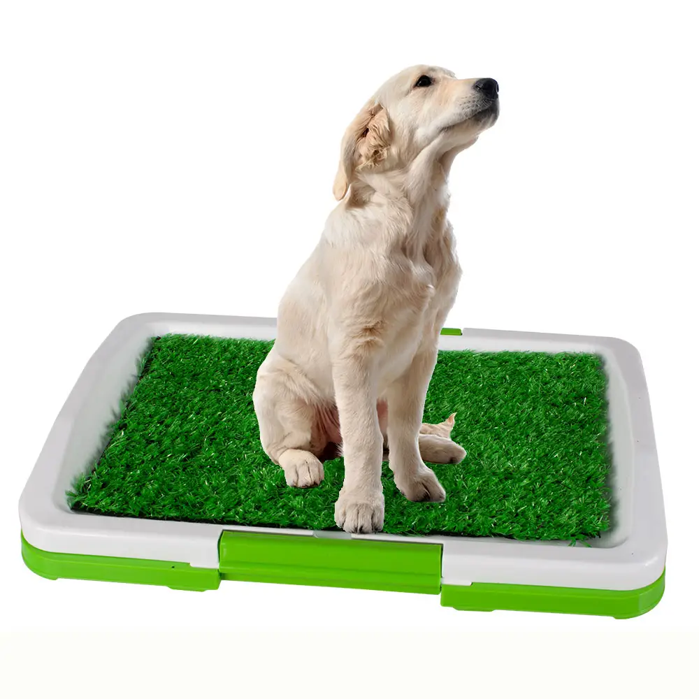 Ücretsiz örnek toptan Pet köpek kedi çöp tuvalet paspası eğitim kapalı plastik tepsi çim eğitim sistemi kutusu köpekler için