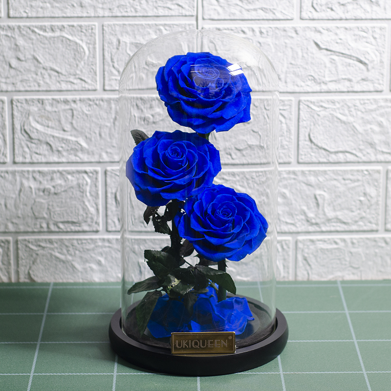 25 blu reale