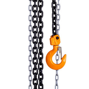 OEM服务0.5吨至50吨链条长度1m至12m VT型手动链条块 - Product Image 6