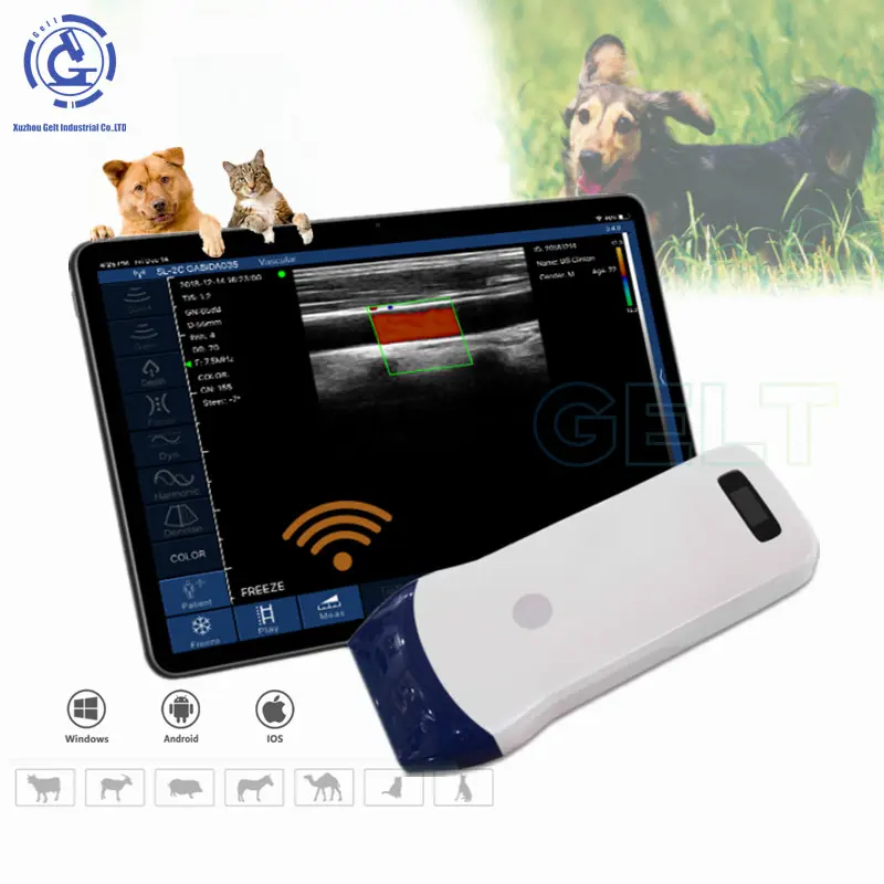 Good quality veterinary Color Doppler 128 elements full digital animals use doppler portable wifi ultrasound wireless probe