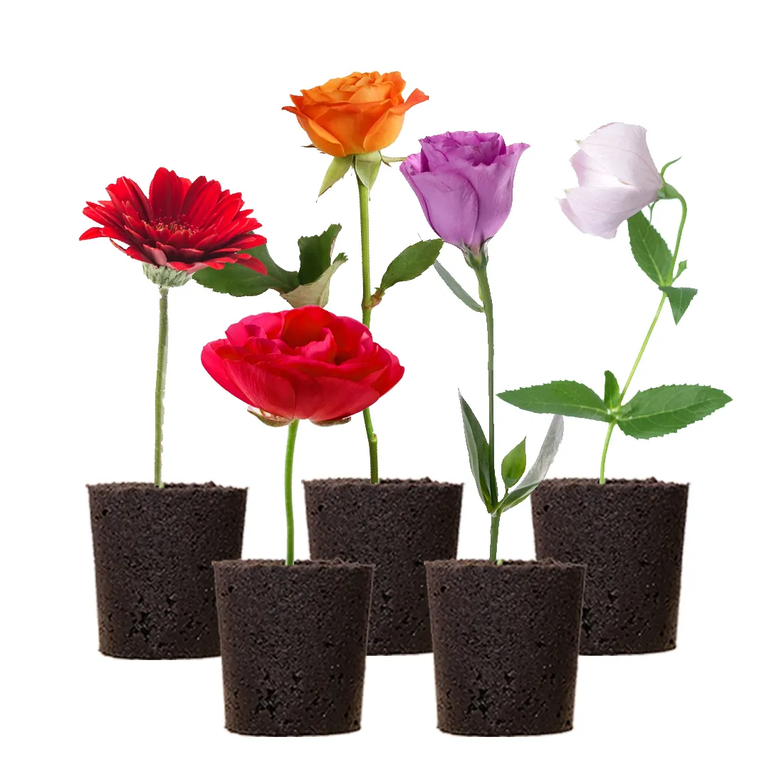 Propagazione delle piante Smart Sponge Soil Floral Design Grow Medium nutriente Peat Blocks per fiori recisi piante in crescita