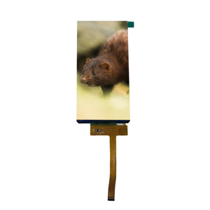 720*1440 IPS lcd <strong>display</strong> module 5.5 inch All viewing angle MIPI interface TFT liquid crystal <strong>display</strong> - Product Image 6