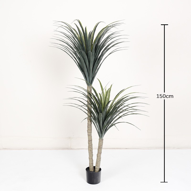 Arbre à sang de dragon à deux têtes de 150 cm
