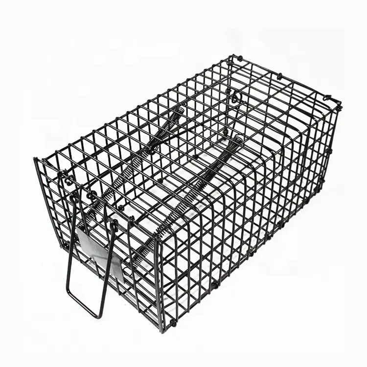 Eco-Friendly Square Animal Trap Cage for Pest Control Targeting Mice Birds Rats Laboratories Hunting US Sheet Size Powder State