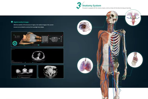 IN-Int DP Medical Science 3d Anatomy Digital <strong>Human</strong> Anatomy System Virtual Anatomy