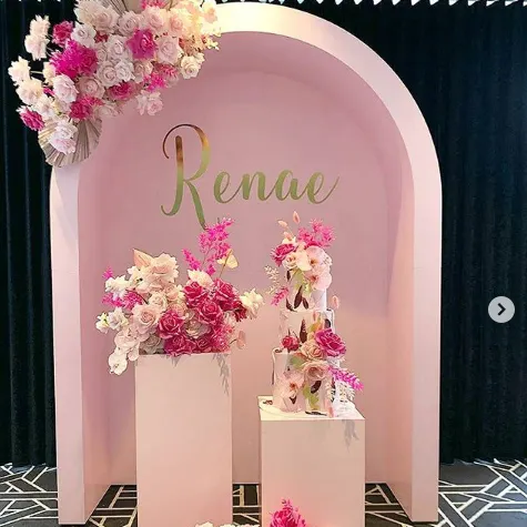 Fondo de boda acrílico Baby Shower forma de puerta rosa 6,5 pies en venta