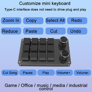 Teclado macro 12 teclas 2 perilla Teclado mecánico Intercambio en caliente Teclado personalizado Teclado de una mano Mini teclado