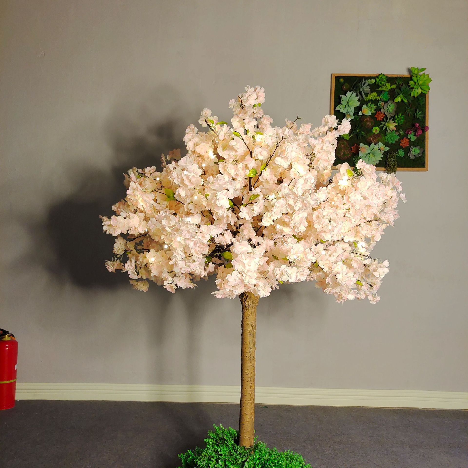 tree 1.2m