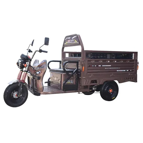changli High-power elders adult motorcycle three wheel electric tricycle for cargo